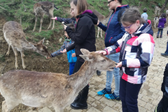 2019_04_06-Donačka gora